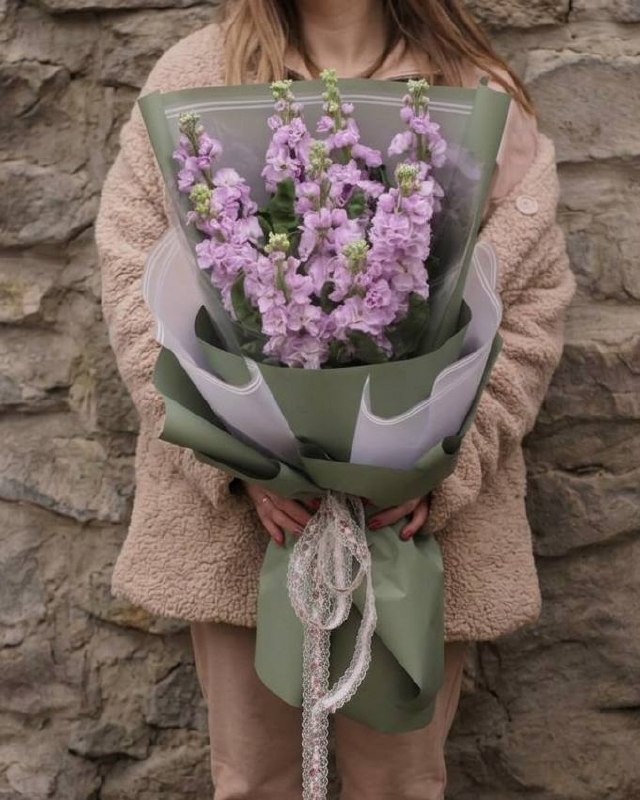 Моно-букет из фиолетовой маттиолы